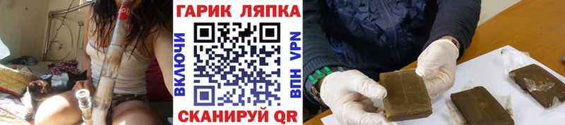 Купить  Судак  ГАШ убойный 
