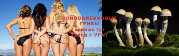 марихуана Баксан